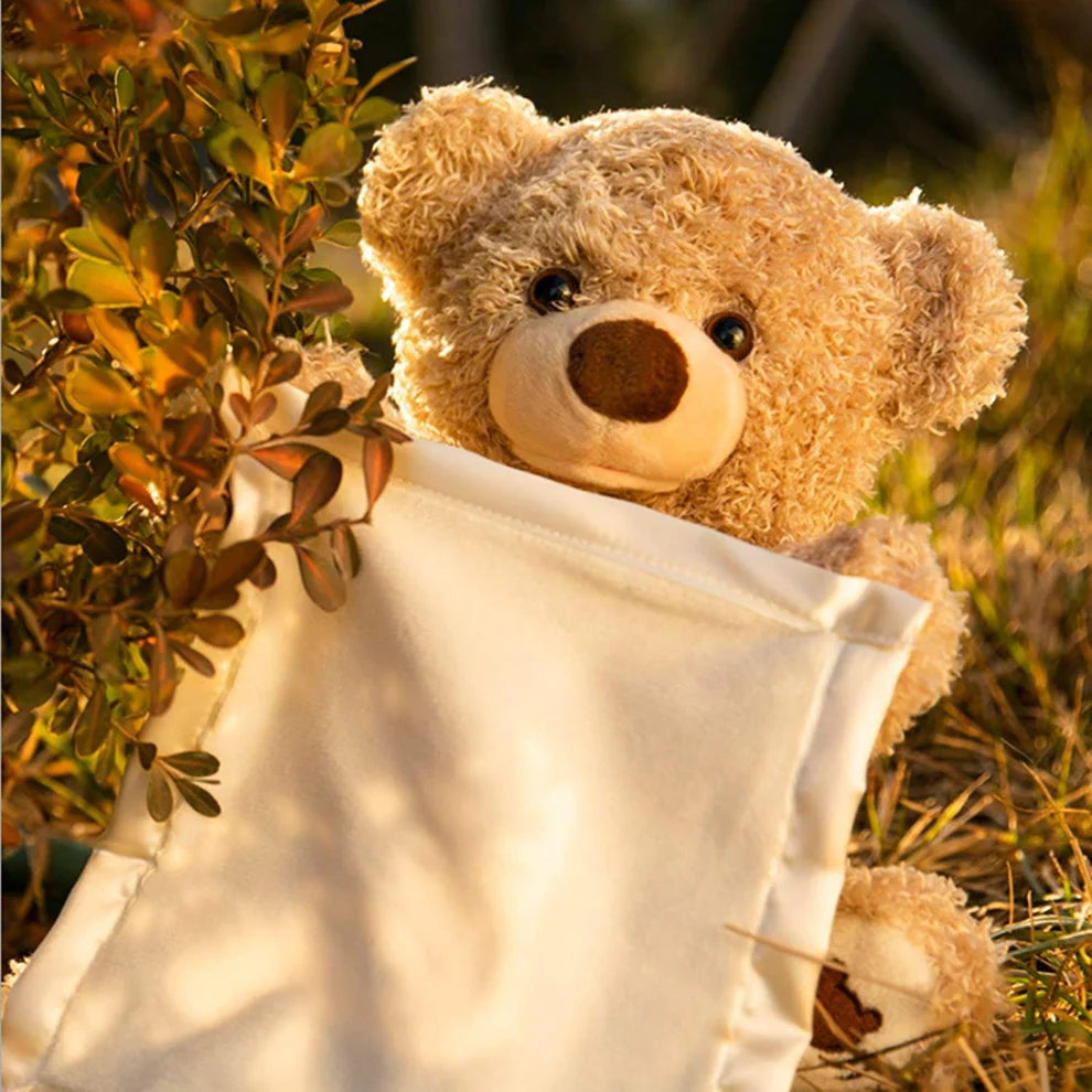 Oso de Peluche Suave | Doudou
