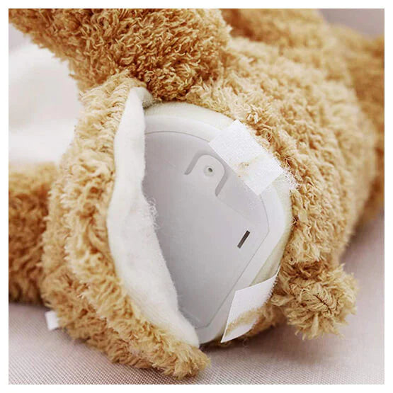 Oso de Peluche Suave | Doudou